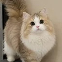 Для мелких пород