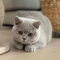 Контроль калорий